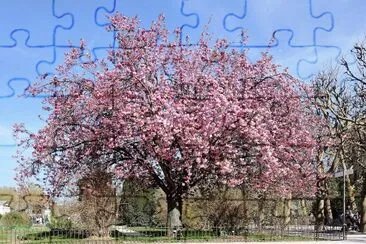flores jigsaw puzzle