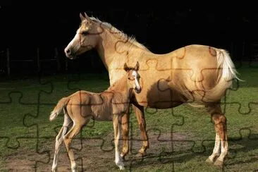 Guoxia jigsaw puzzle