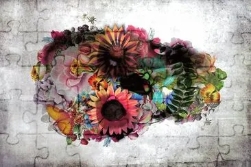 cores