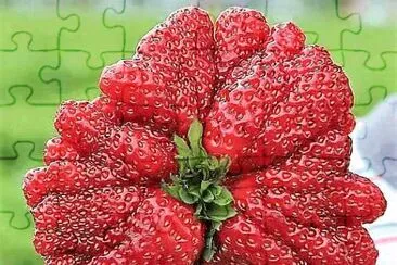 frutas