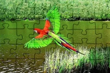 natural jigsaw puzzle