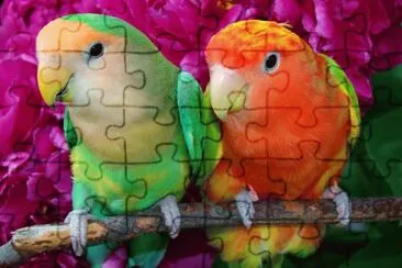 imagem jigsaw puzzle