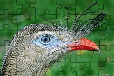 natural jigsaw puzzle