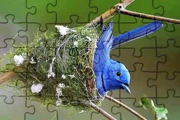 natural jigsaw puzzle