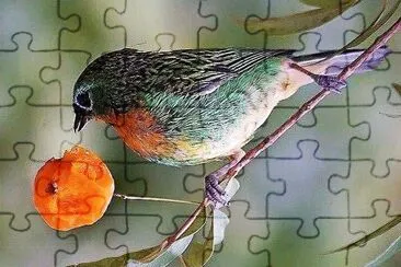 natural jigsaw puzzle