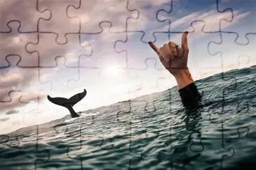 natural jigsaw puzzle