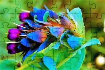flores jigsaw puzzle