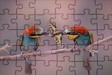 natural jigsaw puzzle