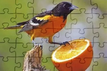 natural jigsaw puzzle