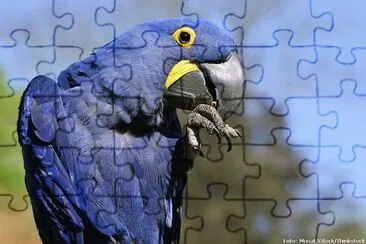 natural jigsaw puzzle