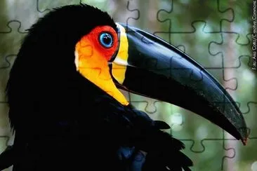 natural jigsaw puzzle