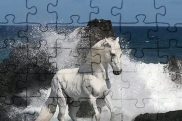 CABALLO MUSTANG