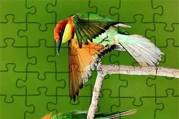 natural jigsaw puzzle