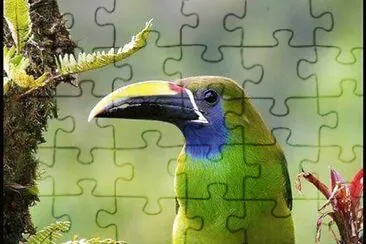 natural jigsaw puzzle