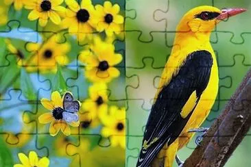 natural jigsaw puzzle