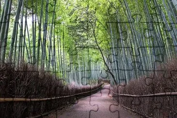 natural jigsaw puzzle