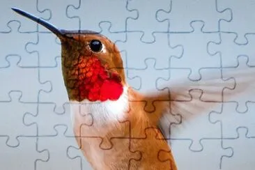 natural jigsaw puzzle