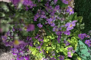 פאזל של Florada