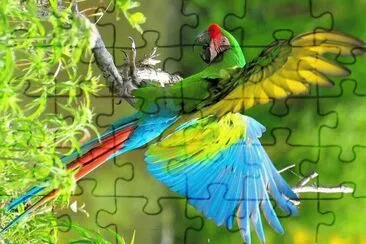 natural jigsaw puzzle