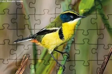 natural jigsaw puzzle
