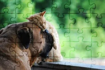 natural jigsaw puzzle