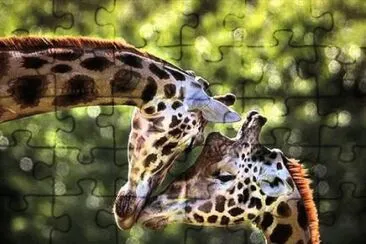 animais jigsaw puzzle