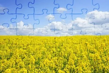 Foto jigsaw puzzle