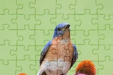 natural jigsaw puzzle