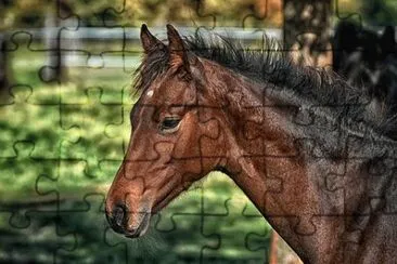 OK jigsaw puzzle