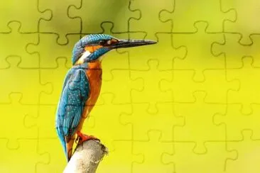 Foto jigsaw puzzle