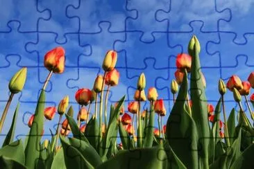 Foto jigsaw puzzle