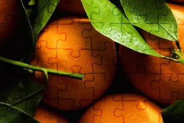 Foto jigsaw puzzle