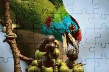 OK jigsaw puzzle