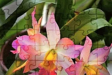 flores jigsaw puzzle