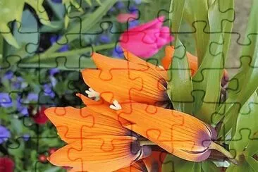 flores jigsaw puzzle