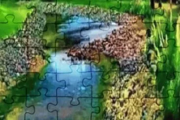 Foto jigsaw puzzle