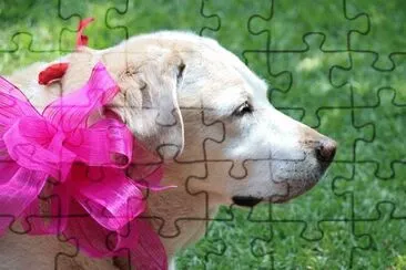 OK jigsaw puzzle