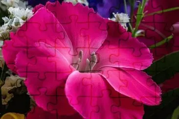 OK jigsaw puzzle