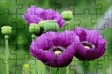 imagem jigsaw puzzle