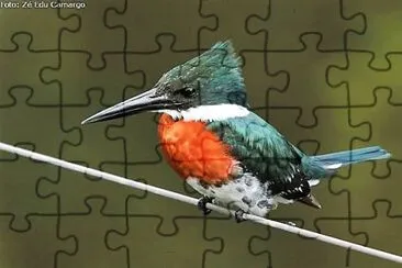 natural jigsaw puzzle