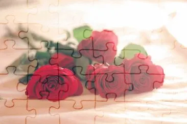 פאזל של Rosas