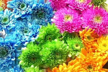 Cores
