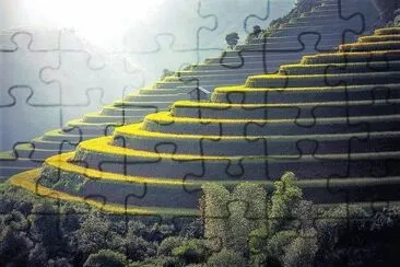natural jigsaw puzzle