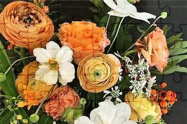 flores