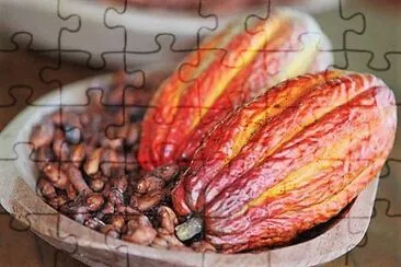 natural jigsaw puzzle