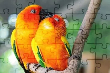 natural jigsaw puzzle