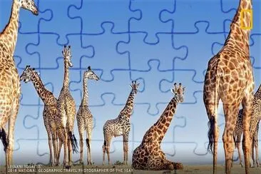 natural jigsaw puzzle