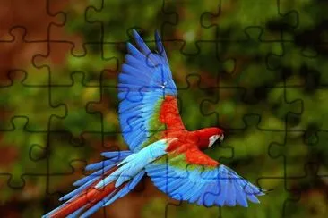 Animais jigsaw puzzle