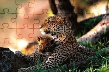 Animais jigsaw puzzle