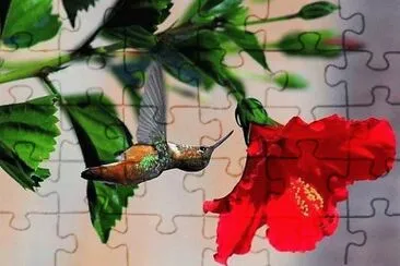 flores jigsaw puzzle